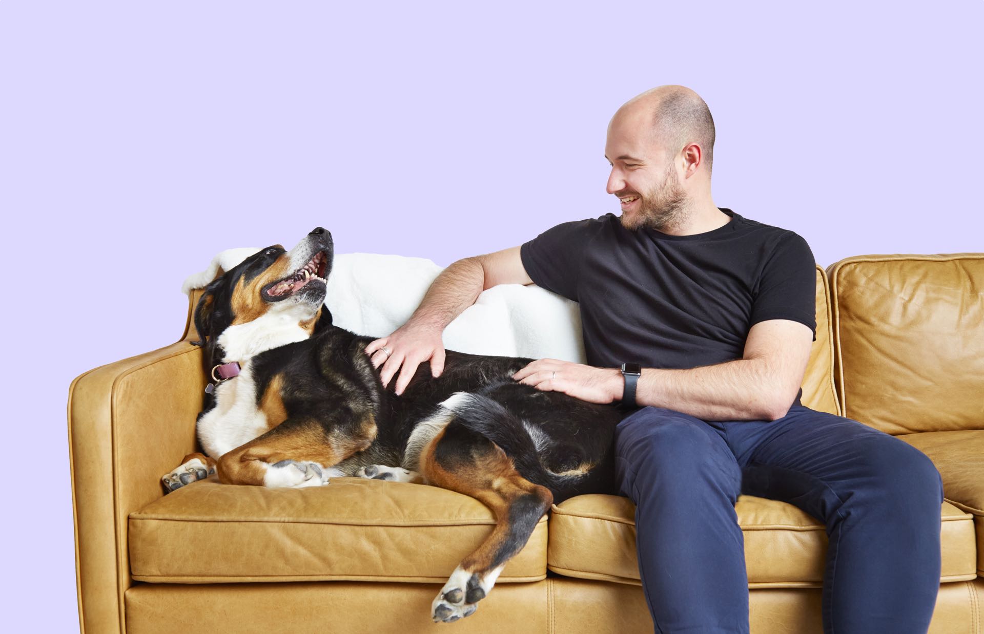 Hund auf Couch mit Mann