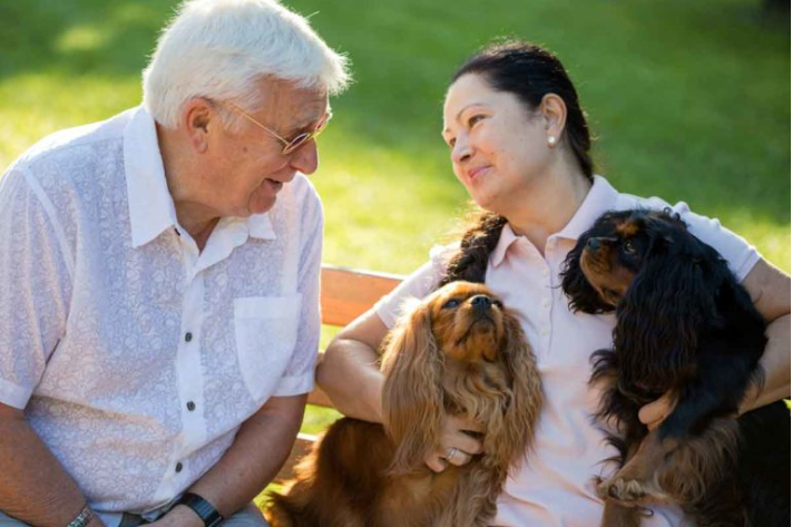 10 empfohlene Hunderassen für Senioren 