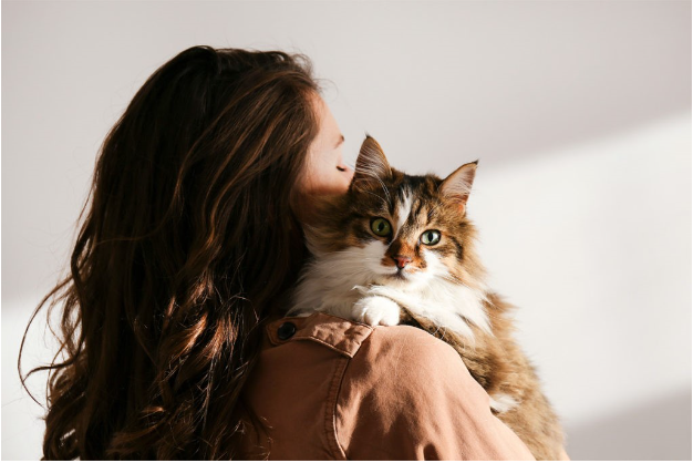 Leiden Katzen unter Trennungsstress? 